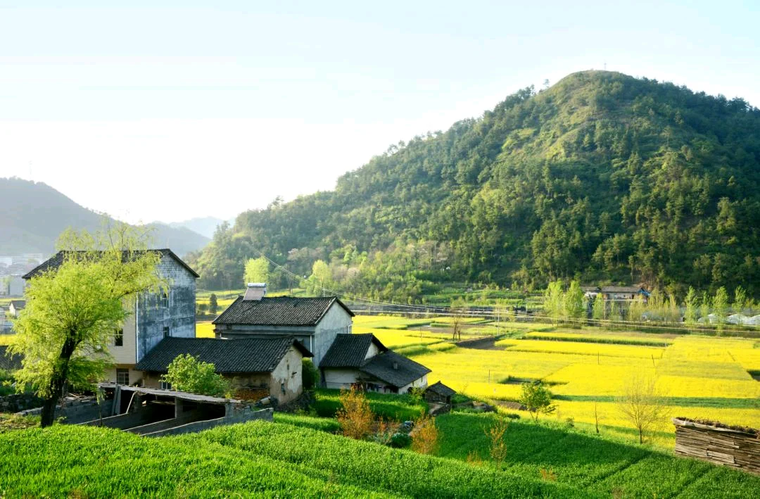 乡村/种田/农村生活模拟器