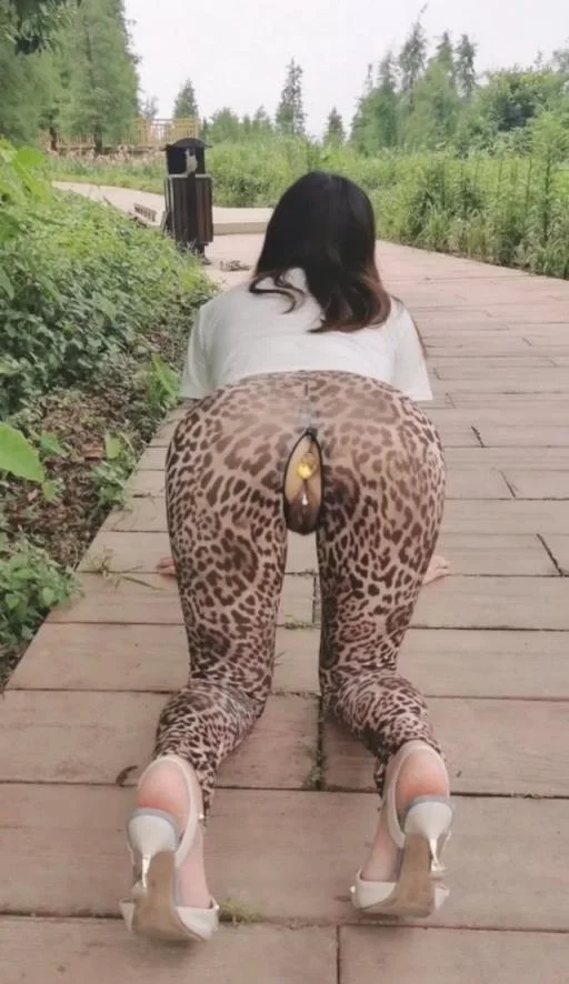 当儿子看到母亲的露出肛塞