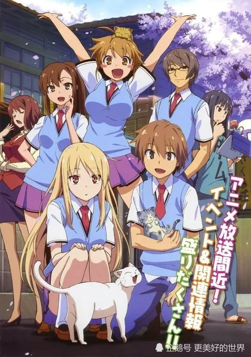 【世界卡】樱花庄的宠物女孩